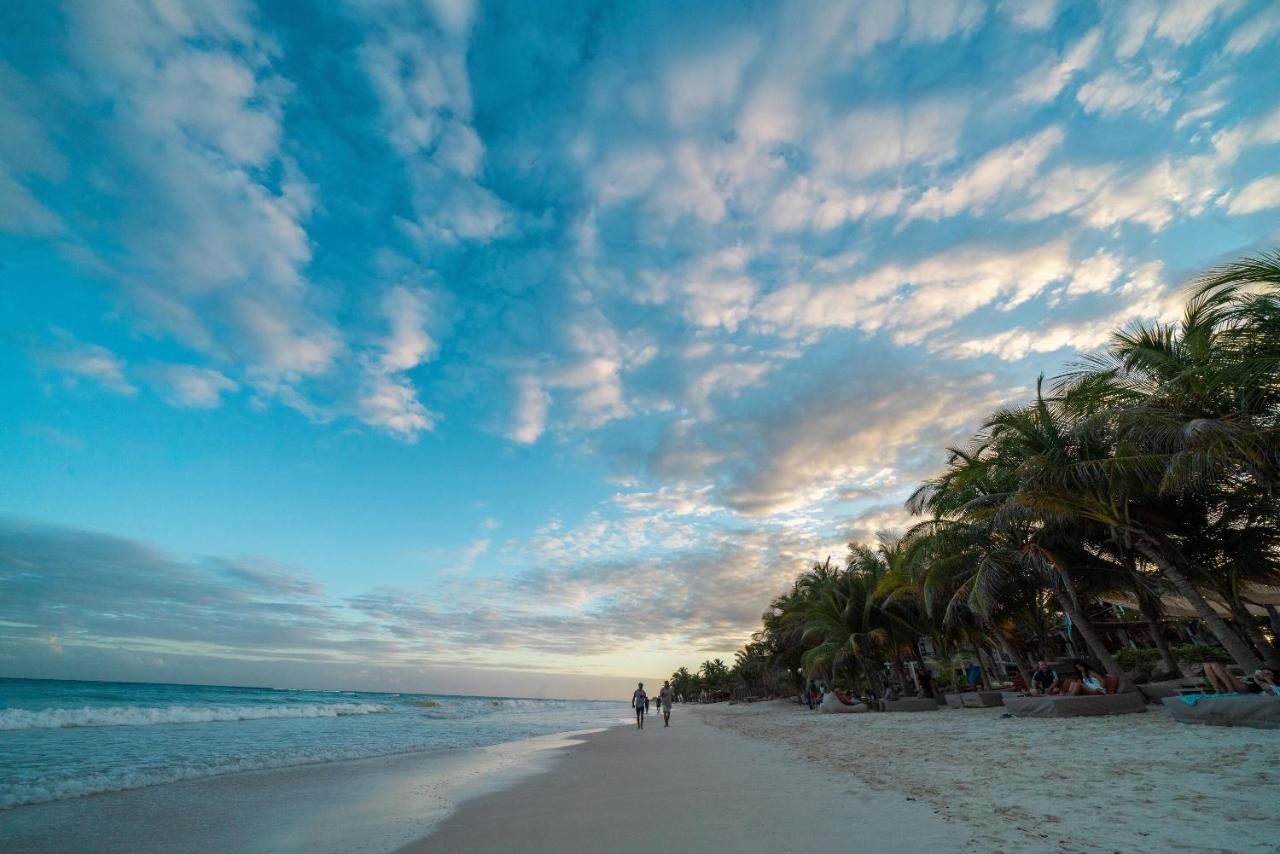 Mia Tulum Beachfront Resort - Ocean View Suites And Beach Club Tulum