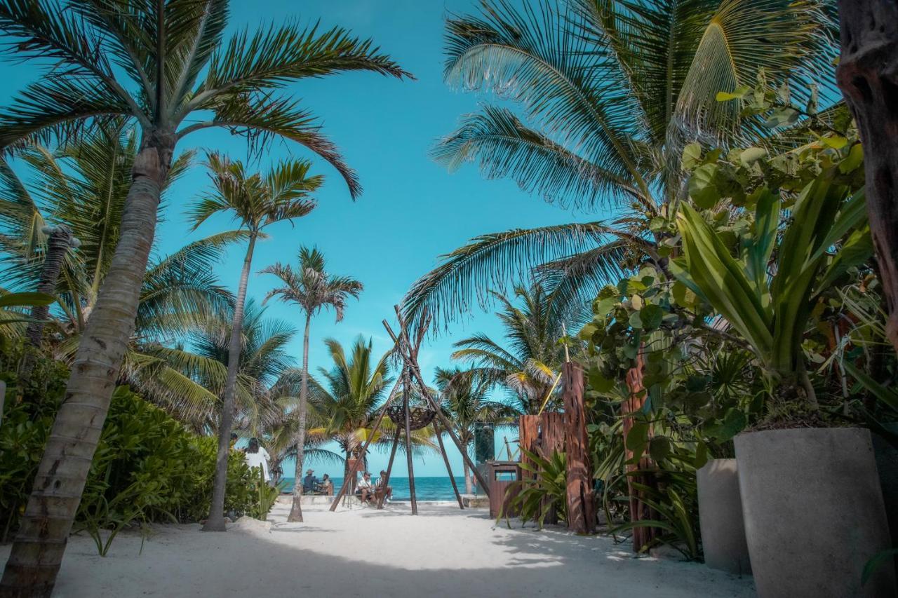 Hotel Mia Tulum Beachfront Resort - Ocean View Suites And Beach Club Tulum